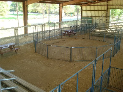 Arena Area